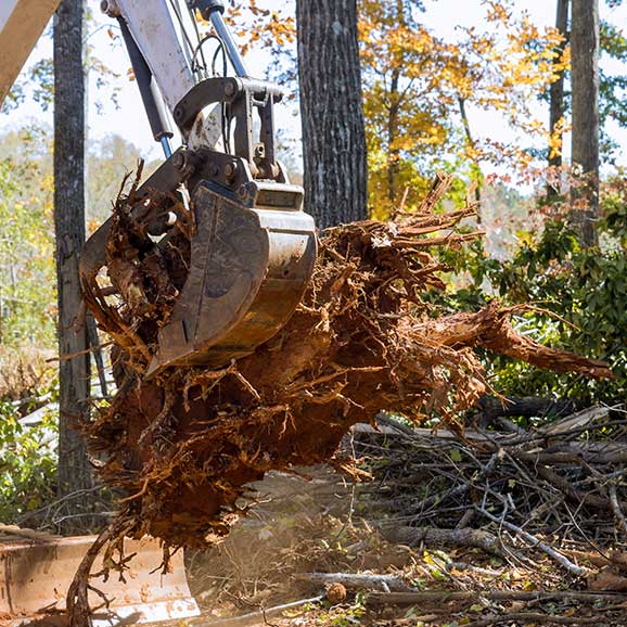 Land Clearing - Trees, Brush & Debris